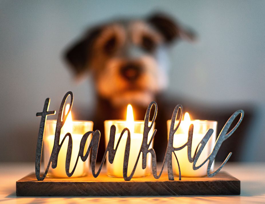 Question of the Week